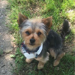 Meet your Posher, Julia