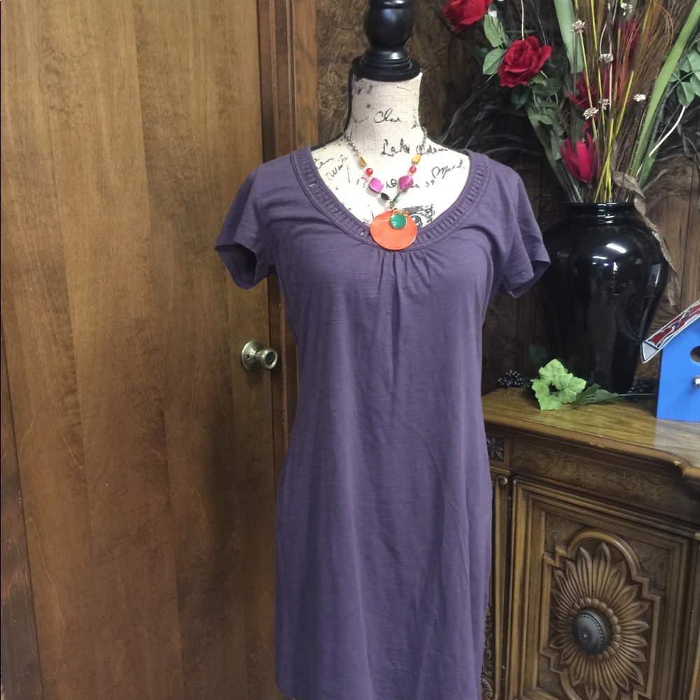 Banana Republic eggplant Tshirt dress