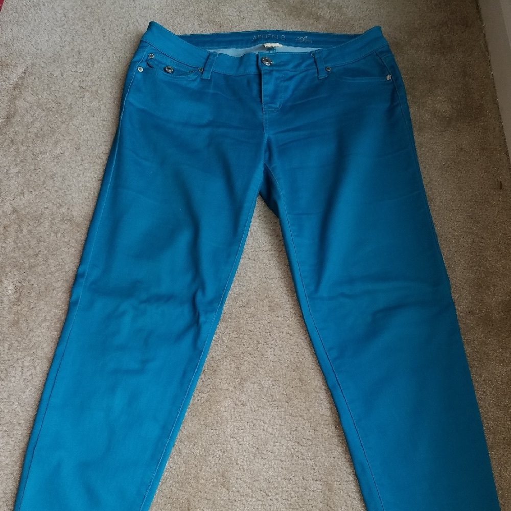 Arden B Blue Casual Stretch Pants