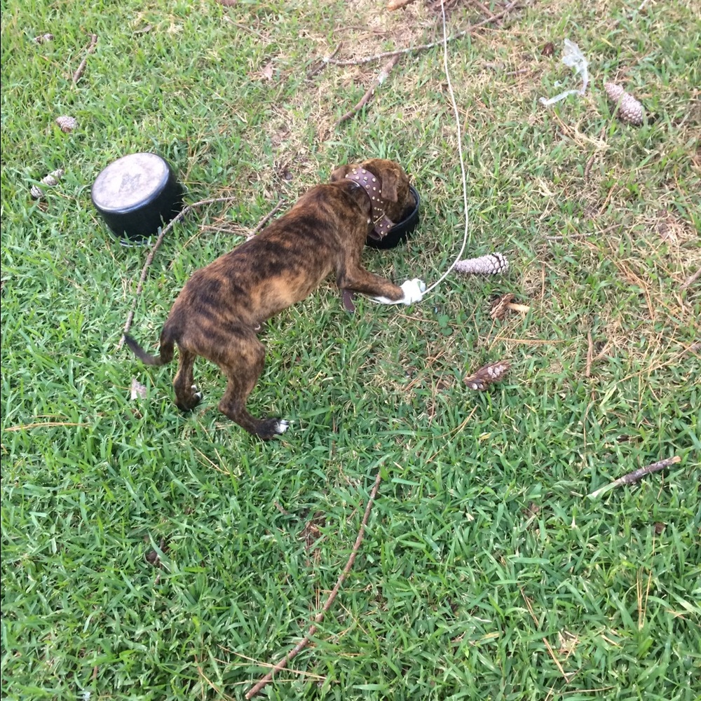 Meet your Posher, Will