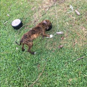 Meet your Posher, Will