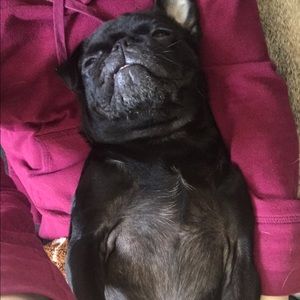 Meet your Posher, Caitlin