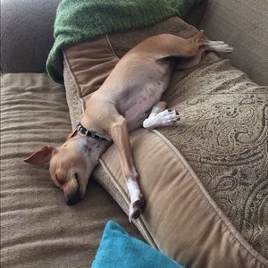 Meet your Posher, Marci