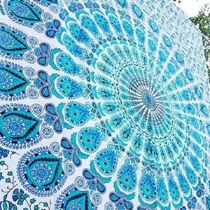 Meet your Posher, Camryn