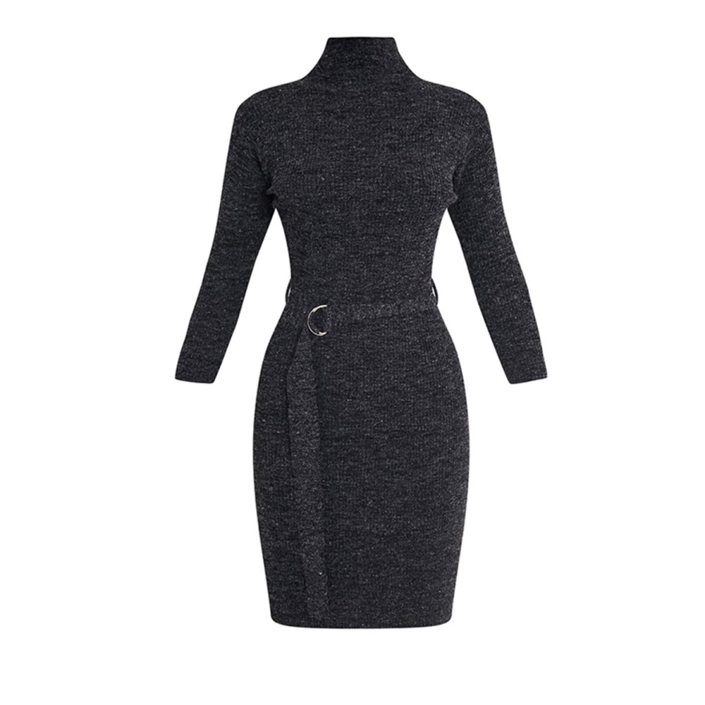 Charcoal Gray Turtleneck Sweater Dress - Picture 4 of 4