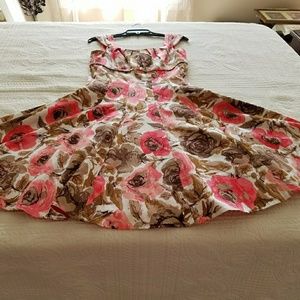 Maggy London sun dress