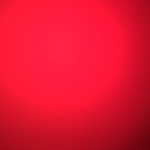 Meet your Posher, Hayley