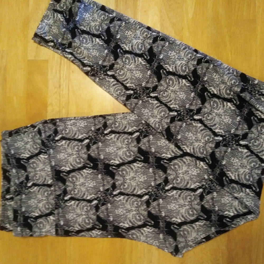 OWL LuLaRoe TC Leggings