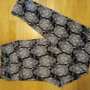 OWL LuLaRoe TC Leggings