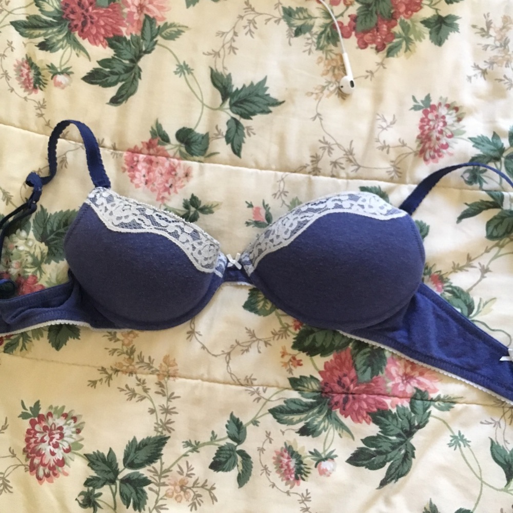 Blue and white lace padded bra