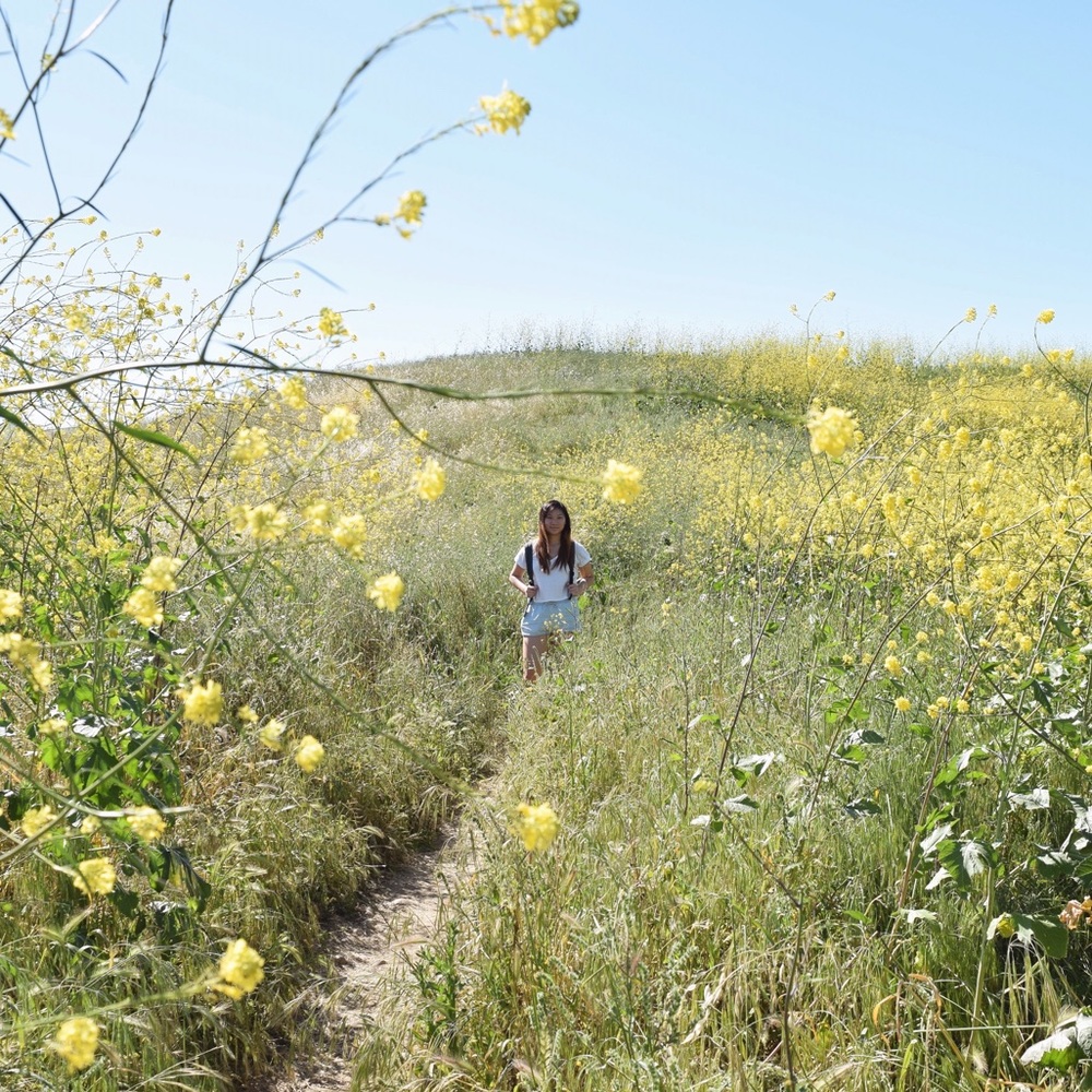 Meet your Posher, Esther