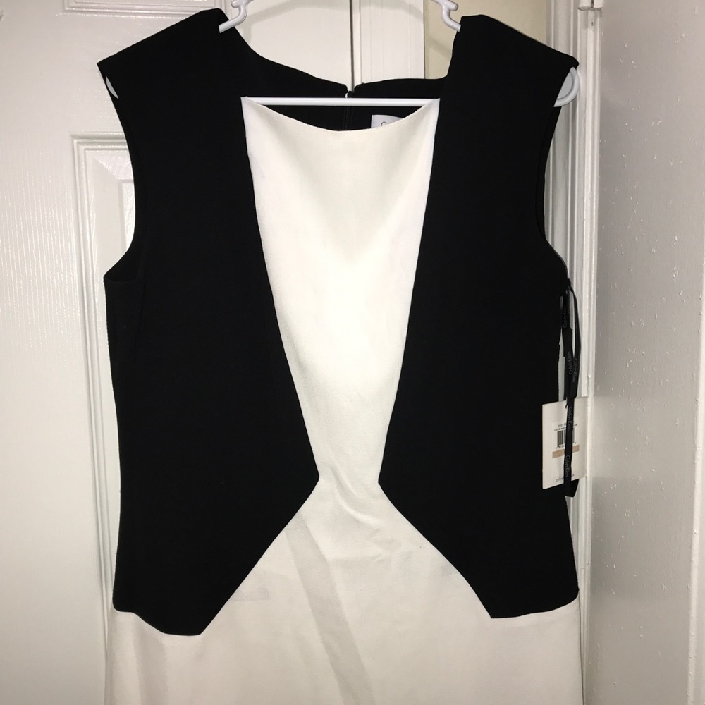 Calvin Klein Black And White Dress