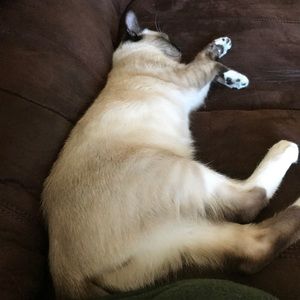 WELCOME TO MY STORE!