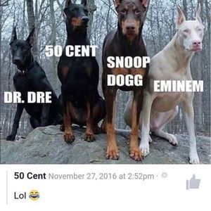 Meet your Posher, Angeles