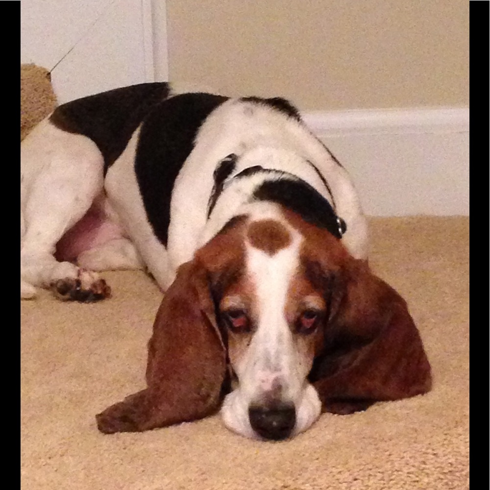 Meet your Posher, Beth