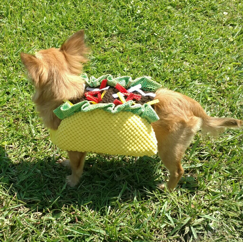 Dog taco outfit xs