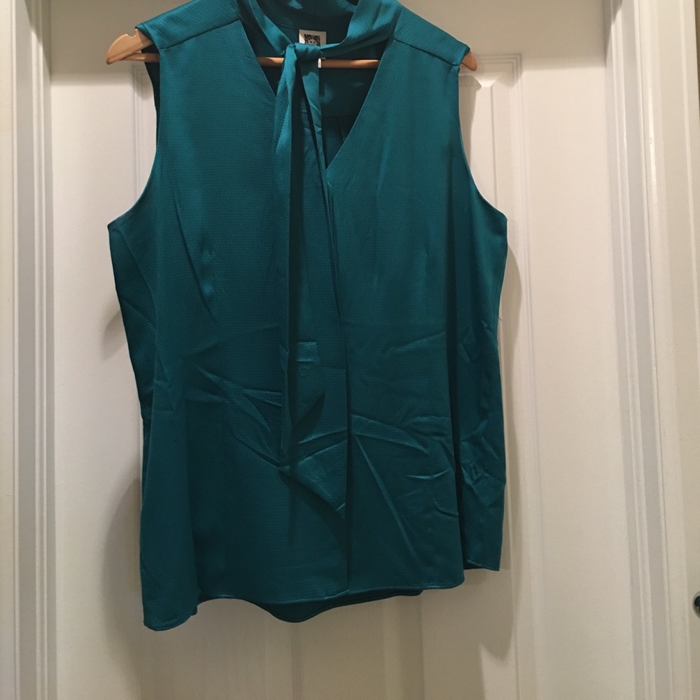 Anne Klein teal button down blouse with tie
