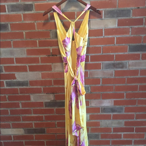Cache silk floor length gown- Price drop**! - Picture 3 of 3