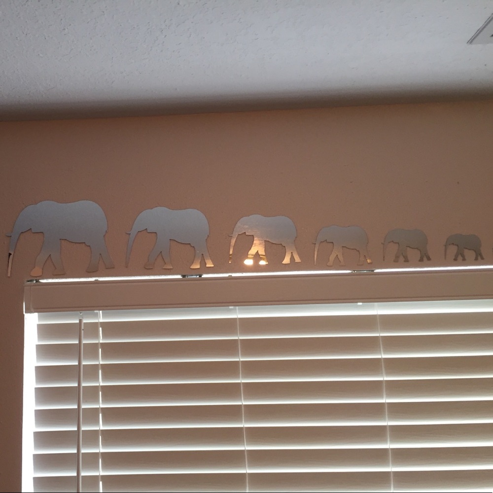 Elephant mirrors