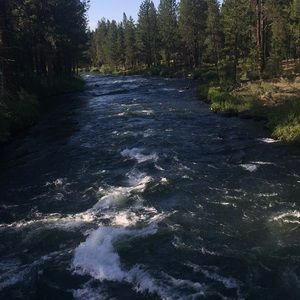 Meet your Posher, Morgan