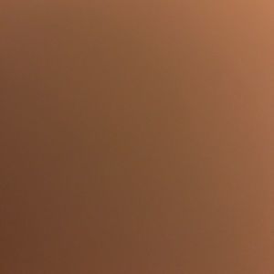 Meet your Posher, Lola