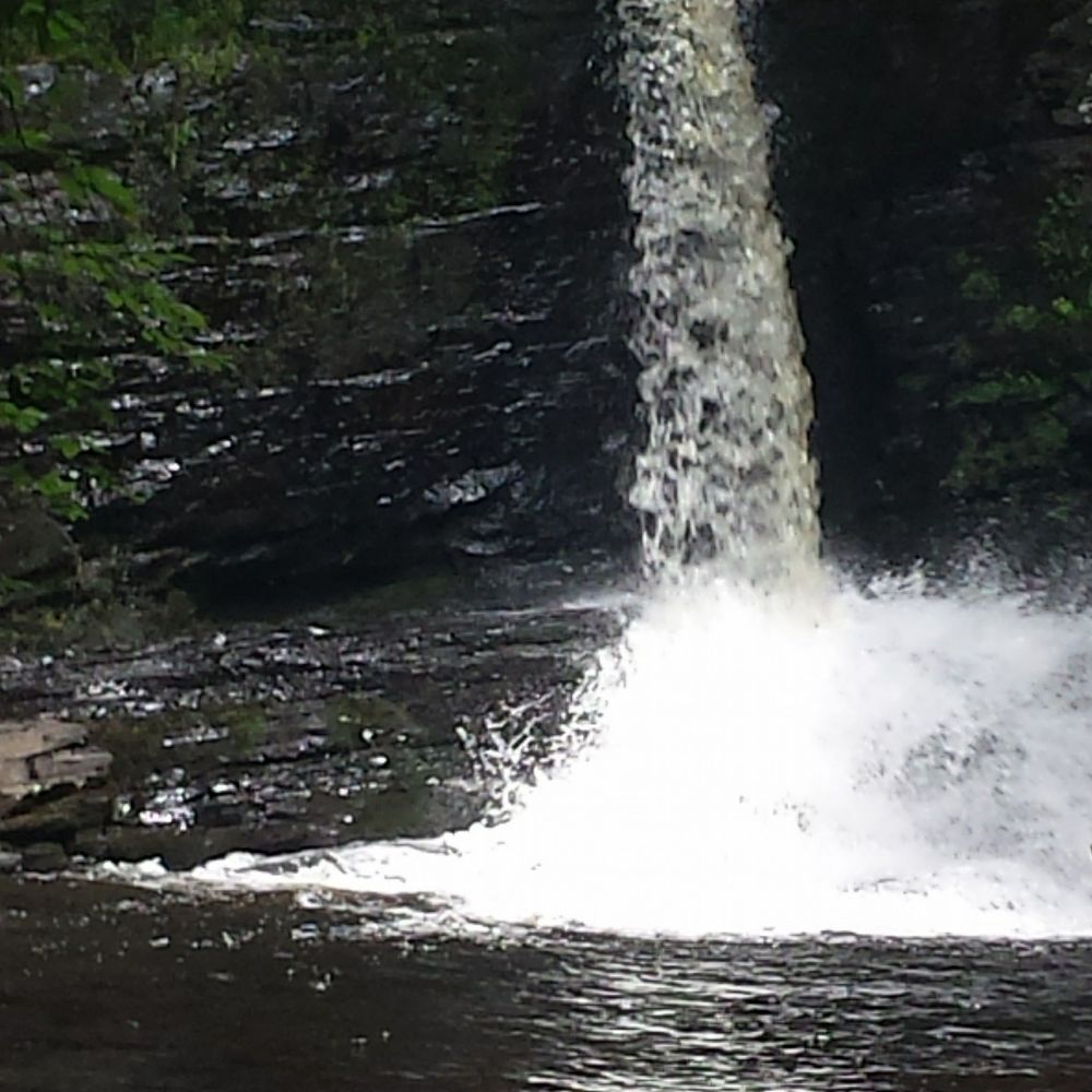 Meet your Posher, Heidi