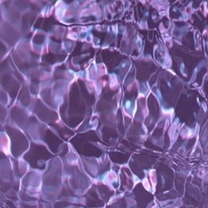 Meet your Posher, Isabelle