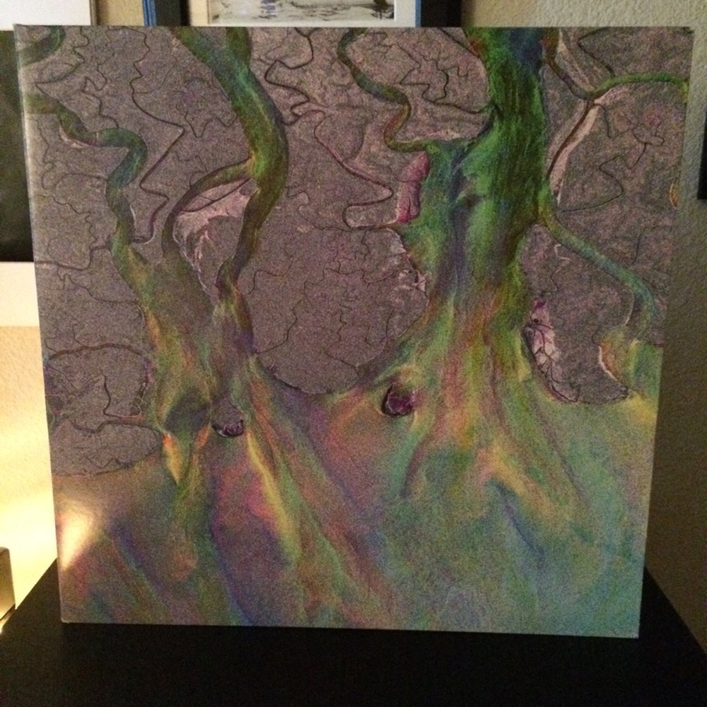 Slightly Used Alt-J "An awesome wave" Vinyl record