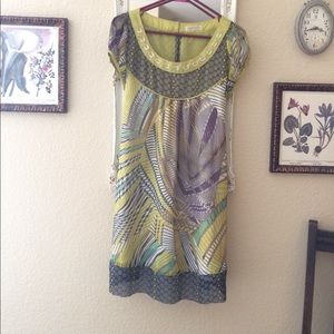 Anthropologie Silk Dress