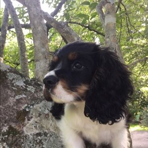 Meet your Posher, Brenna