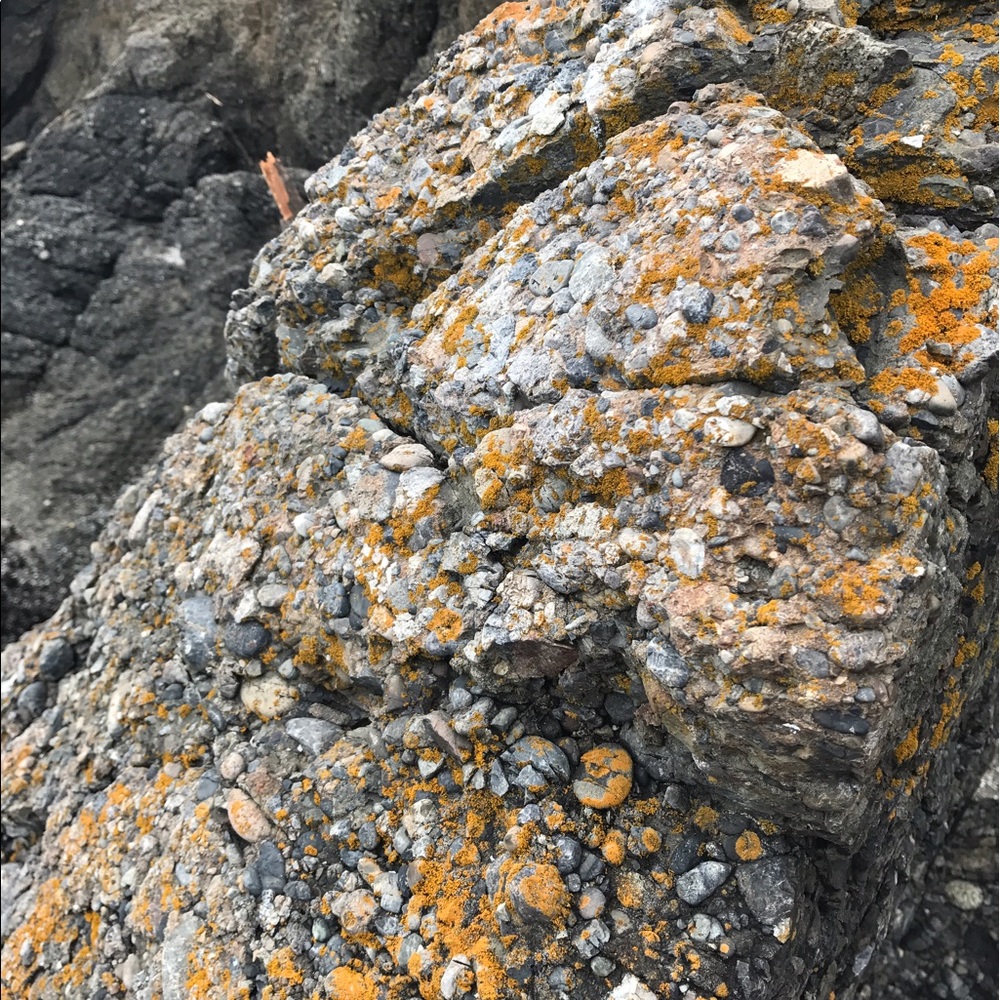 Meet your Posher, Sheridan