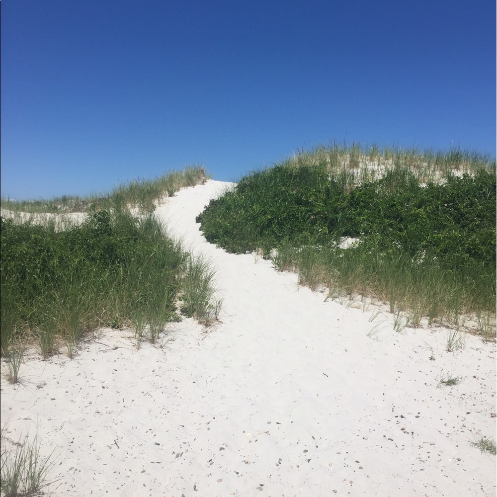 Meet your Posher, Meg