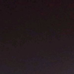 Meet your Posher, Buck