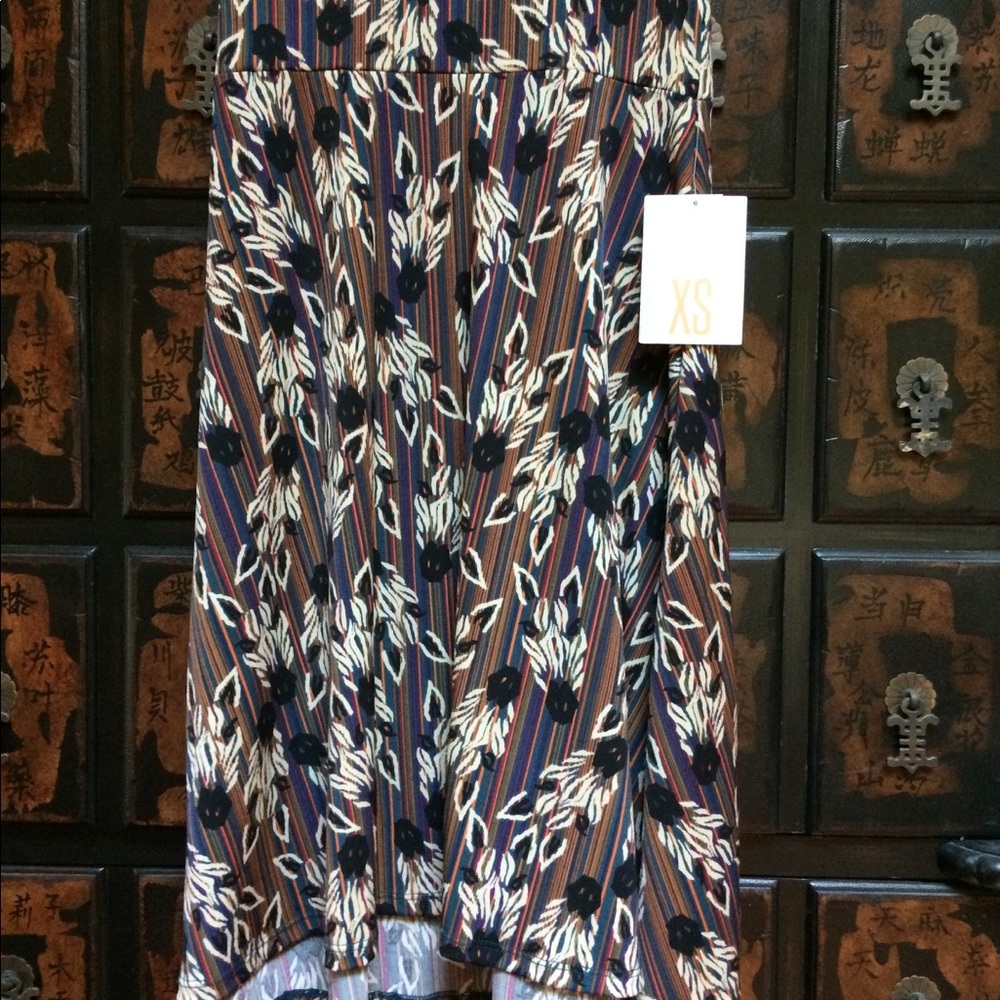 Coolest 🦄 Lularoe 🔥 Zebra 🦓 Azure circle skirt!