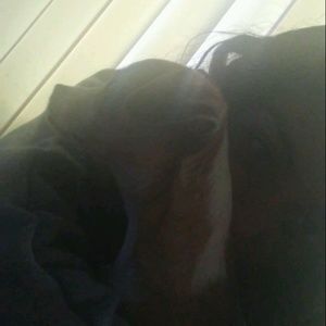 Meet your Posher, Jocelyn