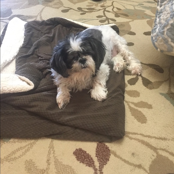 Meet your Posher, Cher - Picture 4 of 4