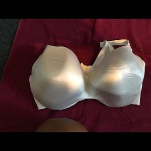 Lane Bryant cacique bra