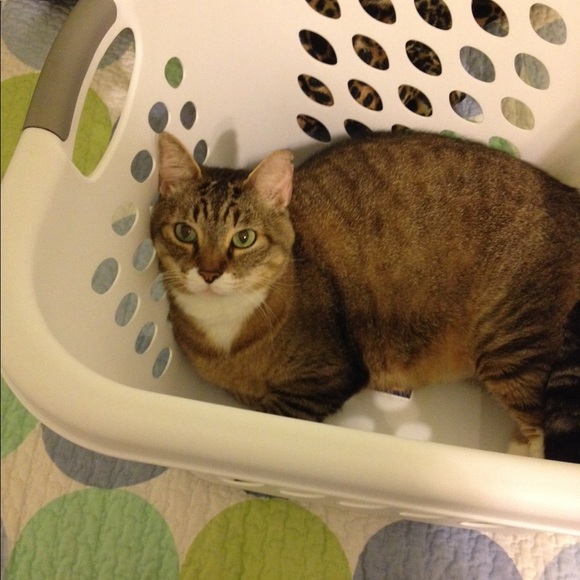 Meet your Posher, Faith - Picture 5 of 5