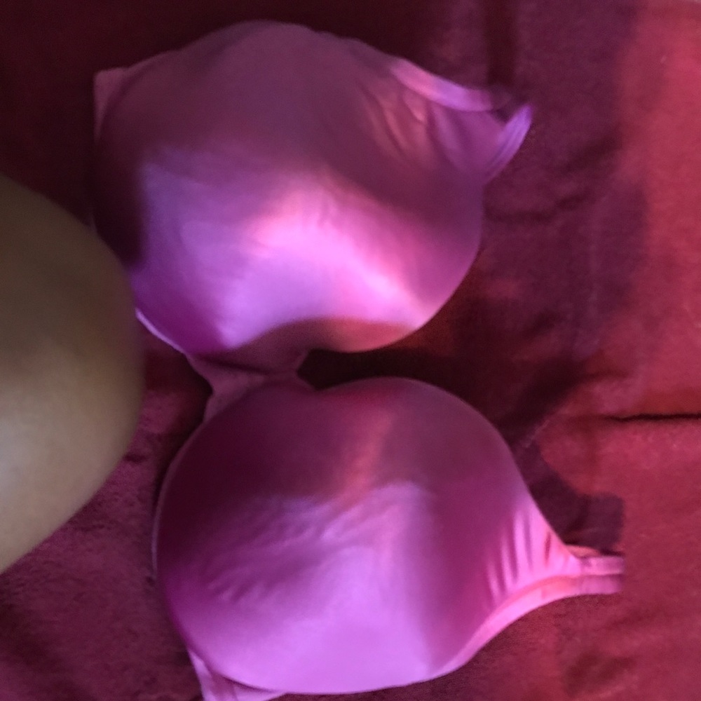 Lane Bryant cacique bra