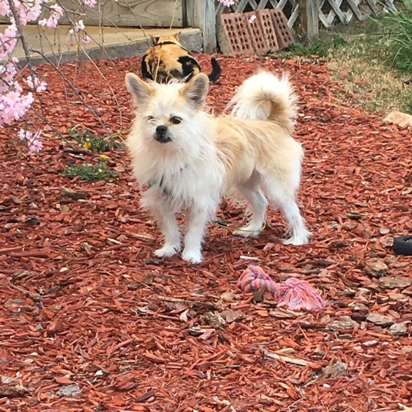 Meet your Posher, A - Picture 1 of 1