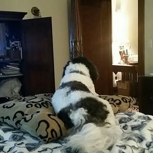 Meet your Posher, Catherine