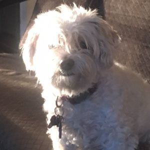 Meet your Posher, Jaden