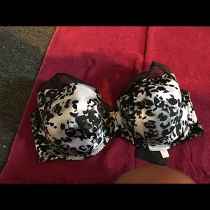 Lane Bryant cacique bra