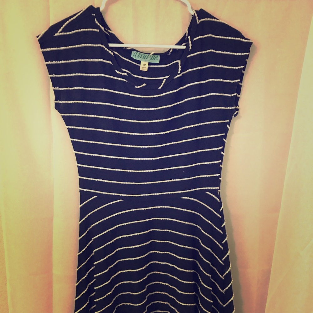 Navy Blue striped skater dress
