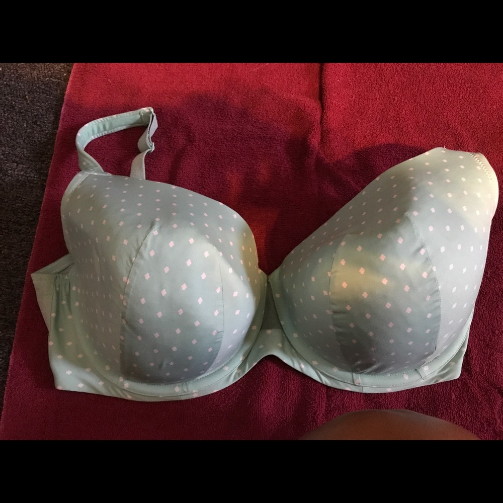 Lane Bryant cacique bra