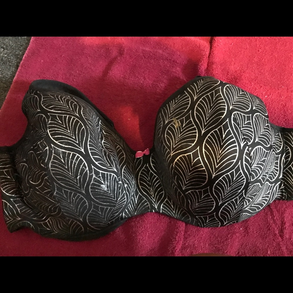 Lane Bryant cacique bra