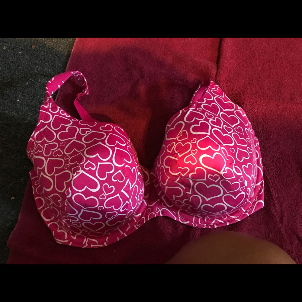 Lane Bryant cacique bra