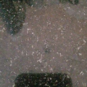 Meet your Posher, Darren