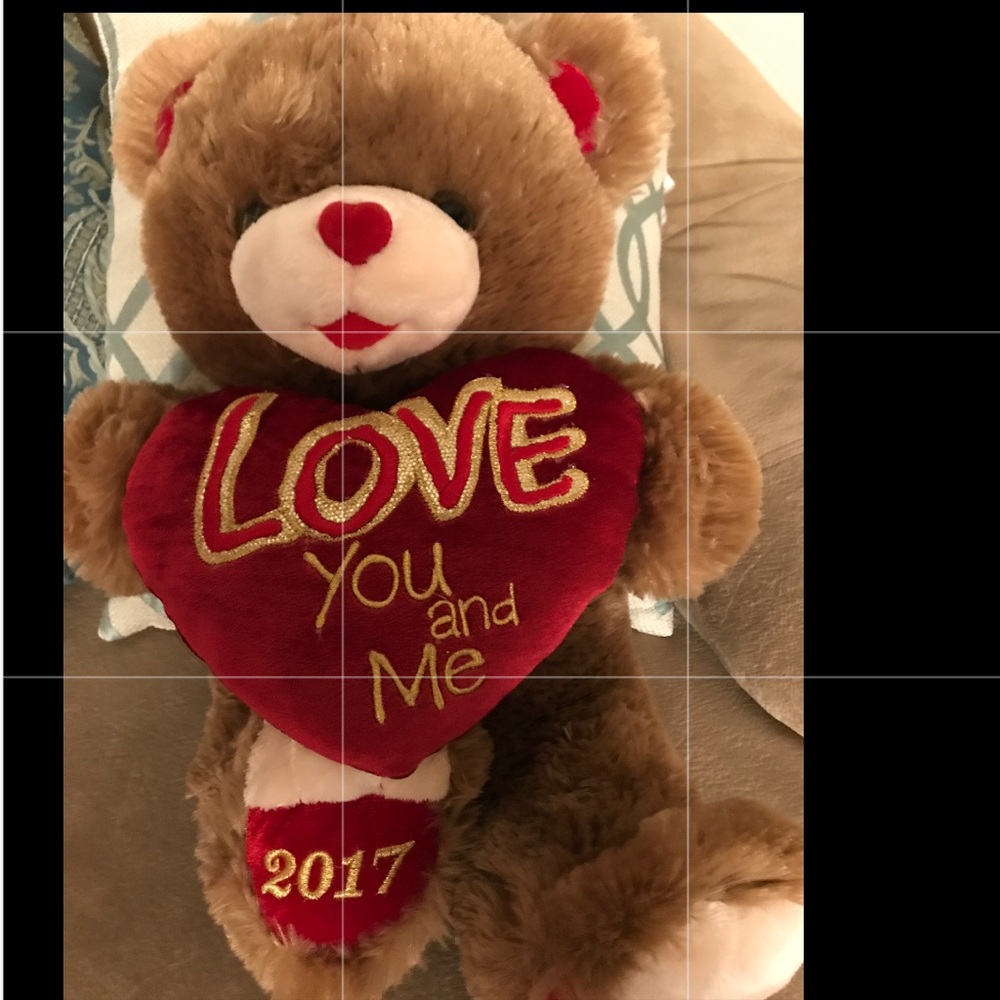 NEW 2017 Teddy Bear