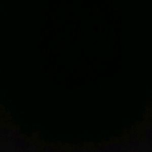 Meet your Posher, Elisa